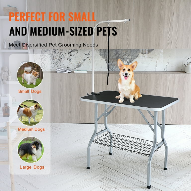 Cat grooming stand online