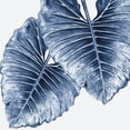 thumbnail image 2 of Urban Road 15x15 White Modern Wood Framed Museum Art Print Titled - Royal Elephant Ears Poster, 2 of 4