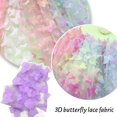 thumbnail image 4 of 3D Butterfly Lace Fabric Gradient Pink Blue Tulle Fabric Rainbow Mesh Fabri, 4 of 9