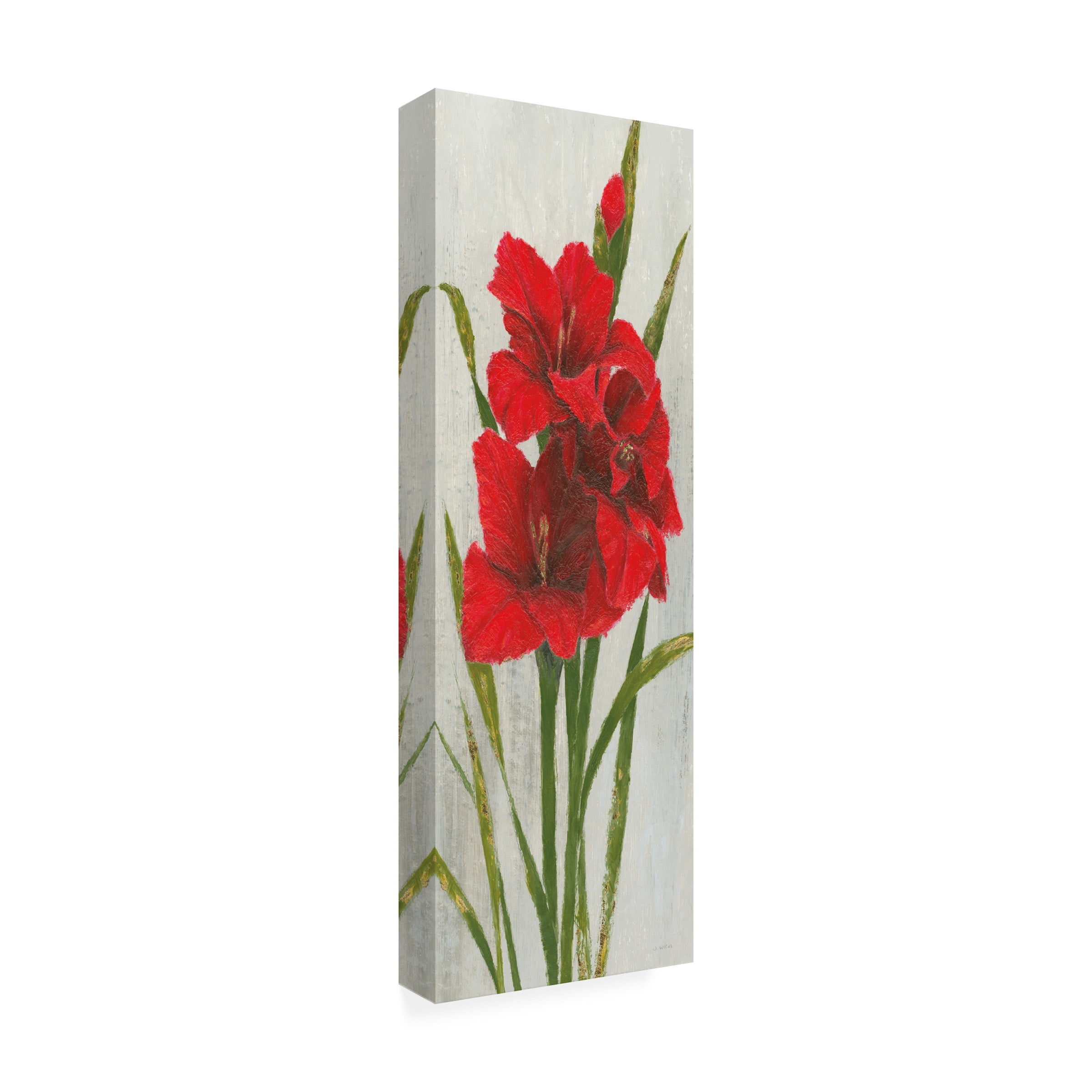James Wiens 'Red Simplicity I' Canvas Art
