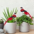 thumbnail image 1 of onlyliua Ofertas Del Día Publicado En Inserción de Pájaro con Plumas Simuladas, Estaca de Madera para Jardín, Decoración de Jardín Enchufable, Manualidades (2 Piezas), 1 of 6