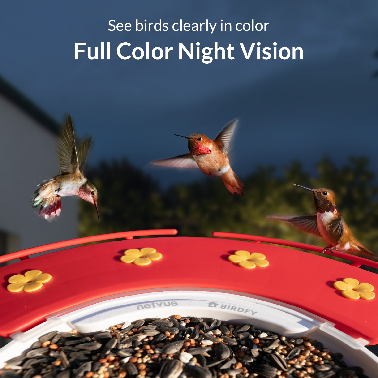Birdfy Hummingbird Feeder Camera, Bird Feeders with Camera and Solar Panel, 1080P wide-angle camera for real-time bird watching, Ideal Gift for Hummingbird Lovers