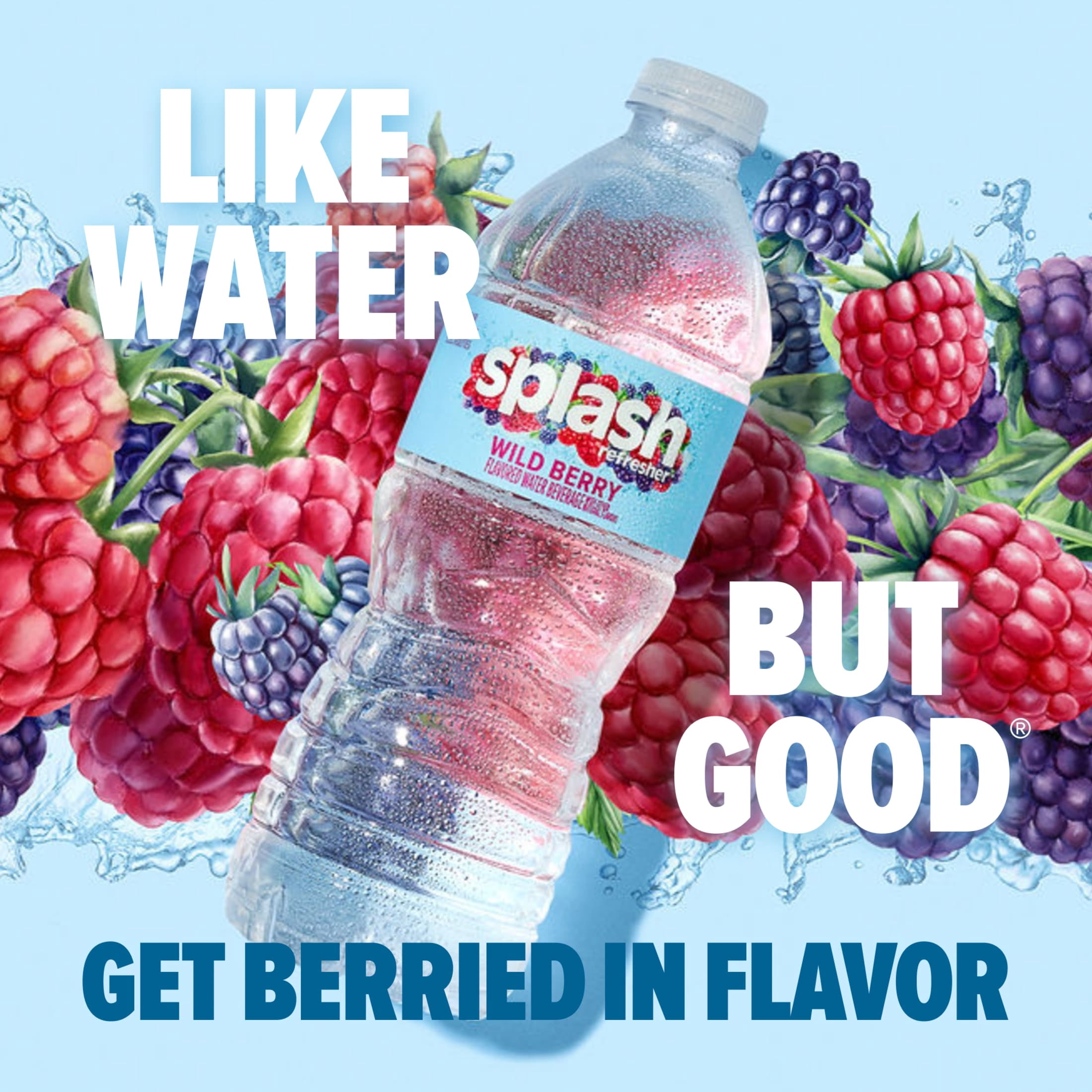 (2 pack) Splash Blast Wild Berry Flavored Water, 16.9 fl oz, 6-pack Plastic Bottles