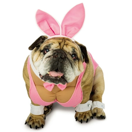 Zelda Hunny Bunny Pink Funny Playboy Bunny Dog Pet Halloween Costume