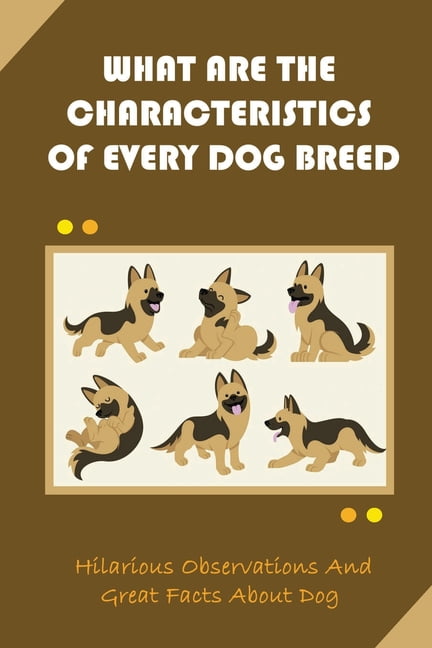 what are the traits of a dog