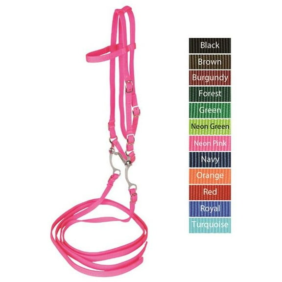 Jacks 10337-GN Bridle with Reins & Curb Bit - Green