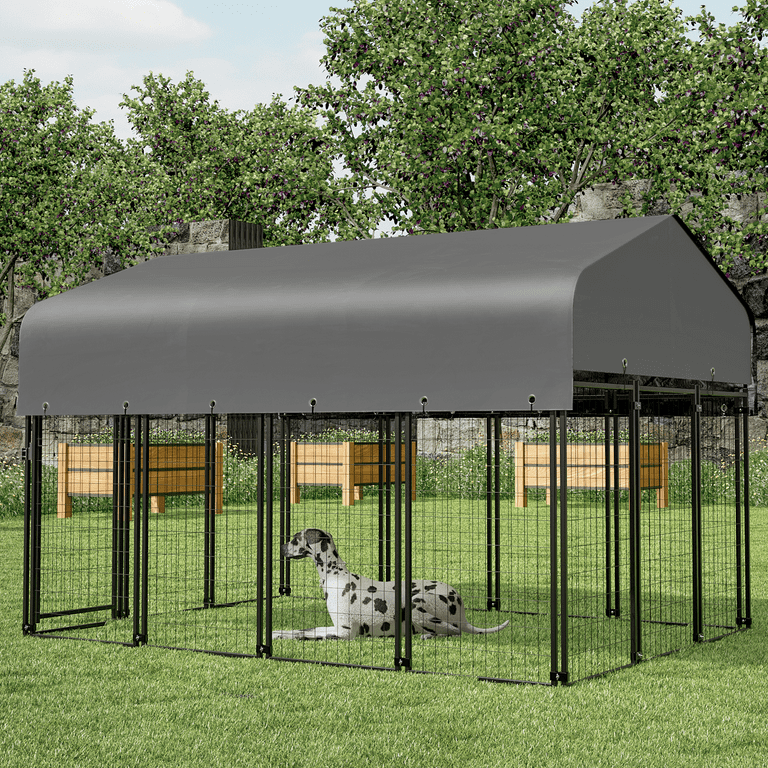 Best outdoor hotsell dog kennel