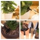 thumbnail image 5 of Herramienta 3 Unids/set Mini Jardín Kit De Herramientas De Mano Jardinería De Plantas Mango De Madera Pala Pala Rastrillo Paleta Herramienta De Jardinería, 5 of 8