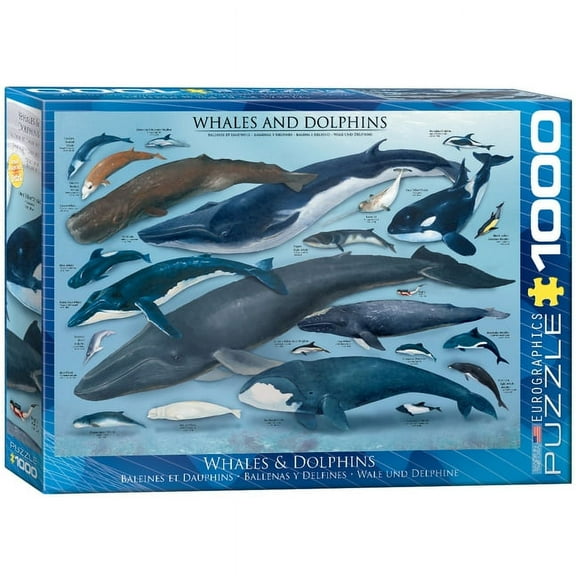 Eurographicspuzzles - Whales And Dolphins - Jigsaw Puzzle - 1000 Pieces