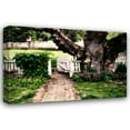 thumbnail image 1 of Alan Hausenflock 18x13 Gallery Wrapped Canvas Wall Art Titled - Grandfather Tree I, 1 of 4