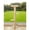 Natural, variant on 5-Tier Adjustable Cat Tree, 102-118" Floor-to-Ceiling Cat Tower with Hemp Scratching Post, Perches, Waterproof Activity Center