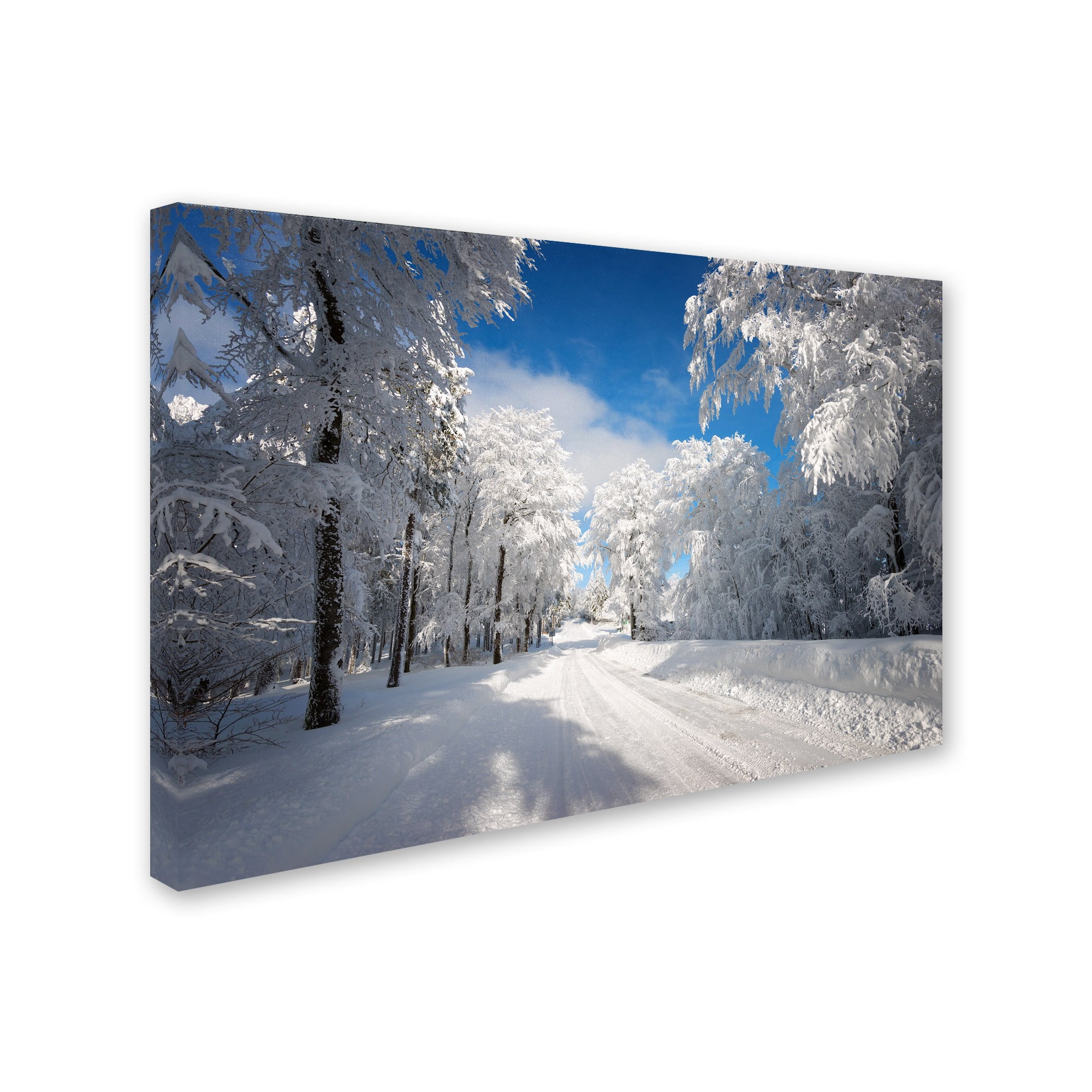 Trademark Fine Art "Going Nowhere" Canvas Art by Philippe Sainte-Laudy
