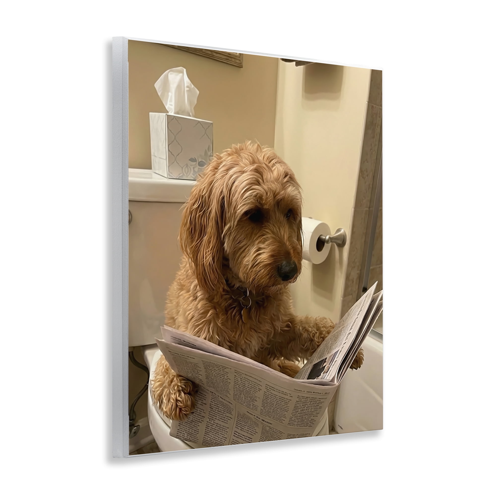 Stupell Industries Dog & Paper on Toilet Wall Plaque Art, design by Abigail Walker