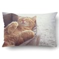 thumbnail image 1 of RYLABLUE Un chat roux dort dans son lit doux et douillet Taie d'oreiller Housse de coussin 50,8 x 76,2 cm, 1 of 2