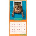 thumbnail image 3 of Avanti Cranky Kitties OFFICIAL | 2026 12x24" (Hanging) Wall Calendar | Plastic-Free, 3 of 9