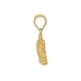 thumbnail image 2 of 14k Yellow Gold Lion Pendant for Men and Unisex Wear, Polished Textured Animal Necklace Symbolizing Strength Courage Leadership, Bold Leo Zodiac Jewelry, 2 of 6
