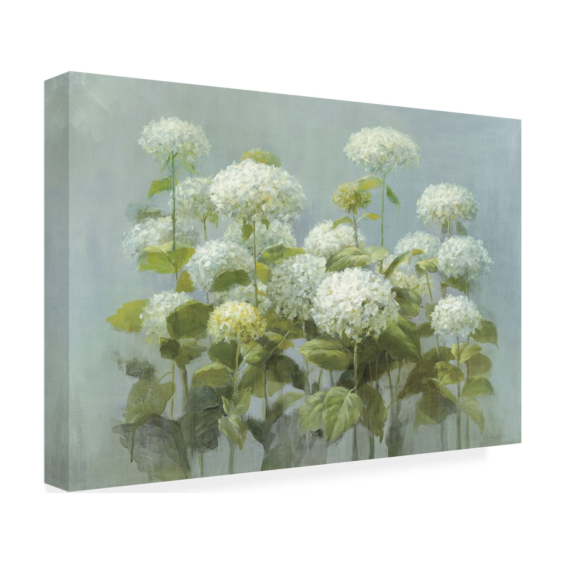 Trademark Art Floral Flowers Painting, by Danhui Nai