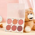 thumbnail image 5 of 6 Color Blush Palette 6 Color Blush Powder Blush Palette Face Blush Makeup Blush 6 Color Blush Palette Women Makeup Contour Highlight Matte Face Blush Powder Pigmented Cosmetics, 5 of 5