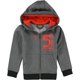 thumbnail image 1 of Reebok Boys Power 1895 Hoodie Sweatshirt, gray, Little Kids (4-7), 4, 1 of 2