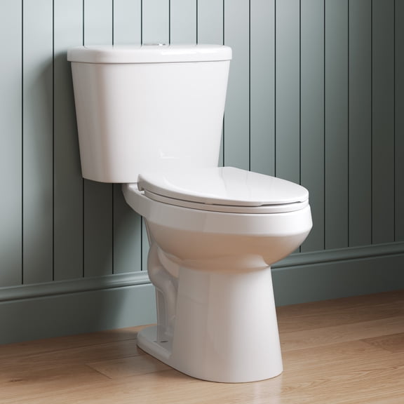 2-Piece 0.8/1.28 GPF Dual flush Elongated ADA Seat Height Toilet in White Map Flush 1000 g, Quiet-Close Seat Included