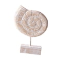 thumbnail image 2 of Estatua náutica de madera para decoración del hogar, escultura, decoración costera, playa y océano Forma de caracola, 2 of 9