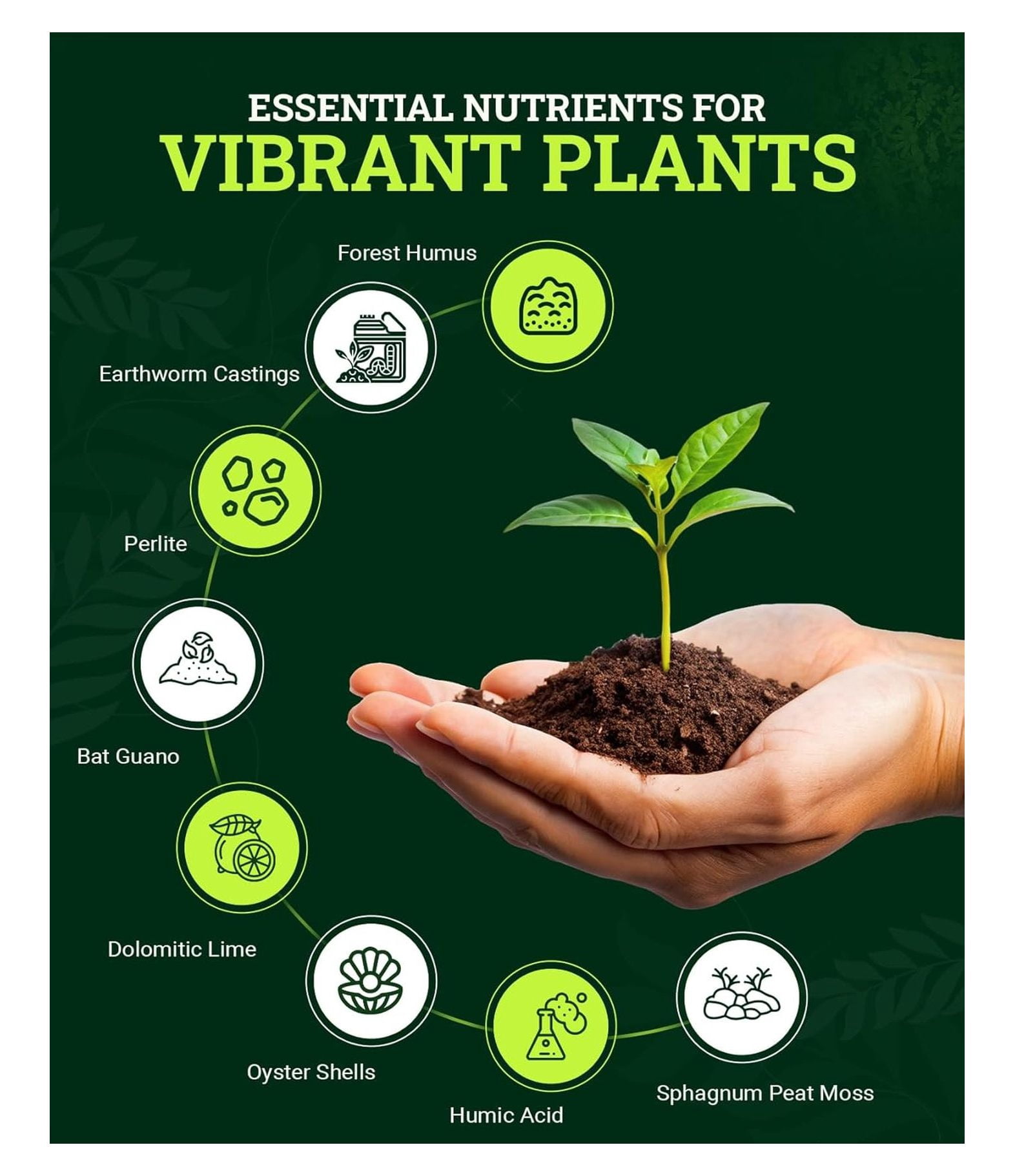 Happy Frog Potting Soil, 12qt – for Indoor/Outdoor Container Plants, Improves Root Efficiency, pH Adjusted for Optimal Nutrient Uptake – Contains Microbes and Humic Acids (Pack of 2)