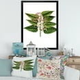 thumbnail image 3 of Designart 'Ancient Plant Life XXVI' Traditional Framed Art Print, 3 of 4