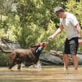 thumbnail image 4 of Juguete para perros ChuckIt! Parachoques robusto de tamaño mediano, 4 of 5