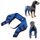 thumbnail image 5 of Tirantes Para Patas De Perros, Buen Rendimiento De Envoltura Recuperar Rápidamente Tirantes Para Patas Traseras De Perros Aliviar La Inflamación Más Rápid, 5 of 7