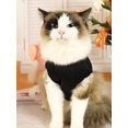 thumbnail image 2 of 1pc Letter Graphic Pet Tank For Cat And Dog For Summer, 2 of 5