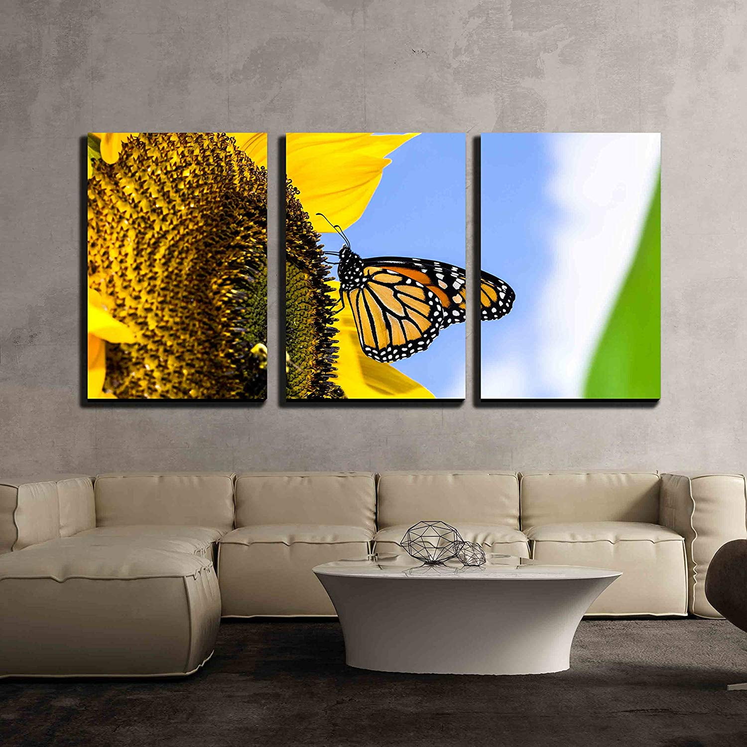 Butterfly Monarch Home Decor Grey & Color Photo Picture 8x10 Bathroom Wall Art 