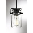 thumbnail image 4 of Nuvo Lighting Antebellum 1-Light Mini Pendant Fixture Matte Black Finish with Clear Glass - N/A, 4 of 8