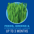 thumbnail image 2 of BioAdvanced 5 In 1 Weed & Feed, Granules, 9.6 lb, Covers 4,000 SQFT, 2 of 6
