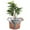 pots for plants, variant on Plant Winter Pot Cover With Drawstring And Zipper, Frost Protection For Outdoor Potted Plants, Insulation Cover With Thickened Oxford Cloth And Aluminum Film For Cold