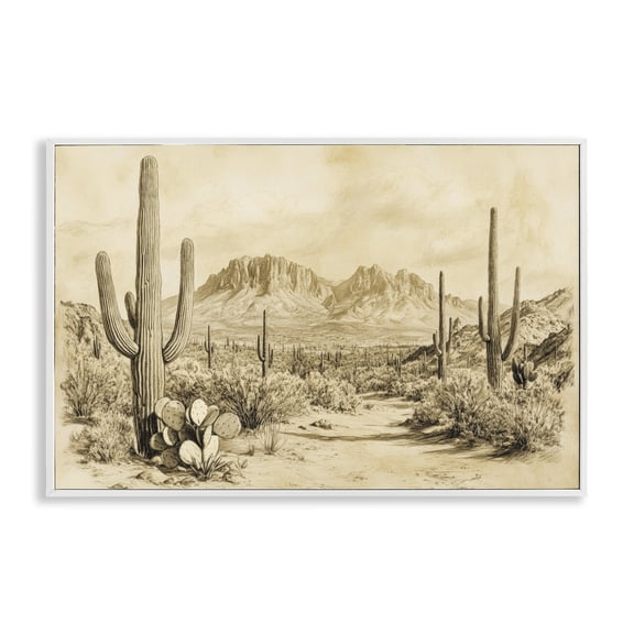 Stupell Industries Cactus Road Vintage Desert White Framed Giclee Art, design by Petal Prints Design