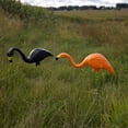 thumbnail image 2 of Bloem 2 Pack Spooky Halloween Flamingo Large 14" x 12" Yard Decorations, Resin Lawn Ornament Stakes with Stainless Steel Legs, 2 of 7