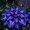 A, variant on Decorative Hosta—Stunning Clump-Forming—Simply Beautiful Flowering for Enhanced Garden Aesthetics—Year-Round Ornamental