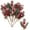 A, variant on geerera 10PCS 7" Christmas Berry Picks, Artificial Pinecone Stems, Floral Craft Supplies, for Wreath Making, Holiday Arrangements, DIY Decor