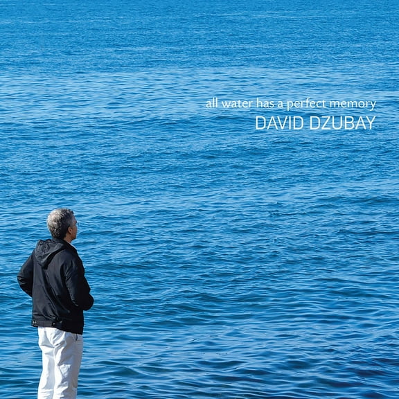 Dzubay - All Water Has a Perfect Memory - Music & Performance - CD