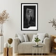 thumbnail image 4 of Historic Framed Print, Big Spring, 17-7/8" x 21-7/8", 4 of 9