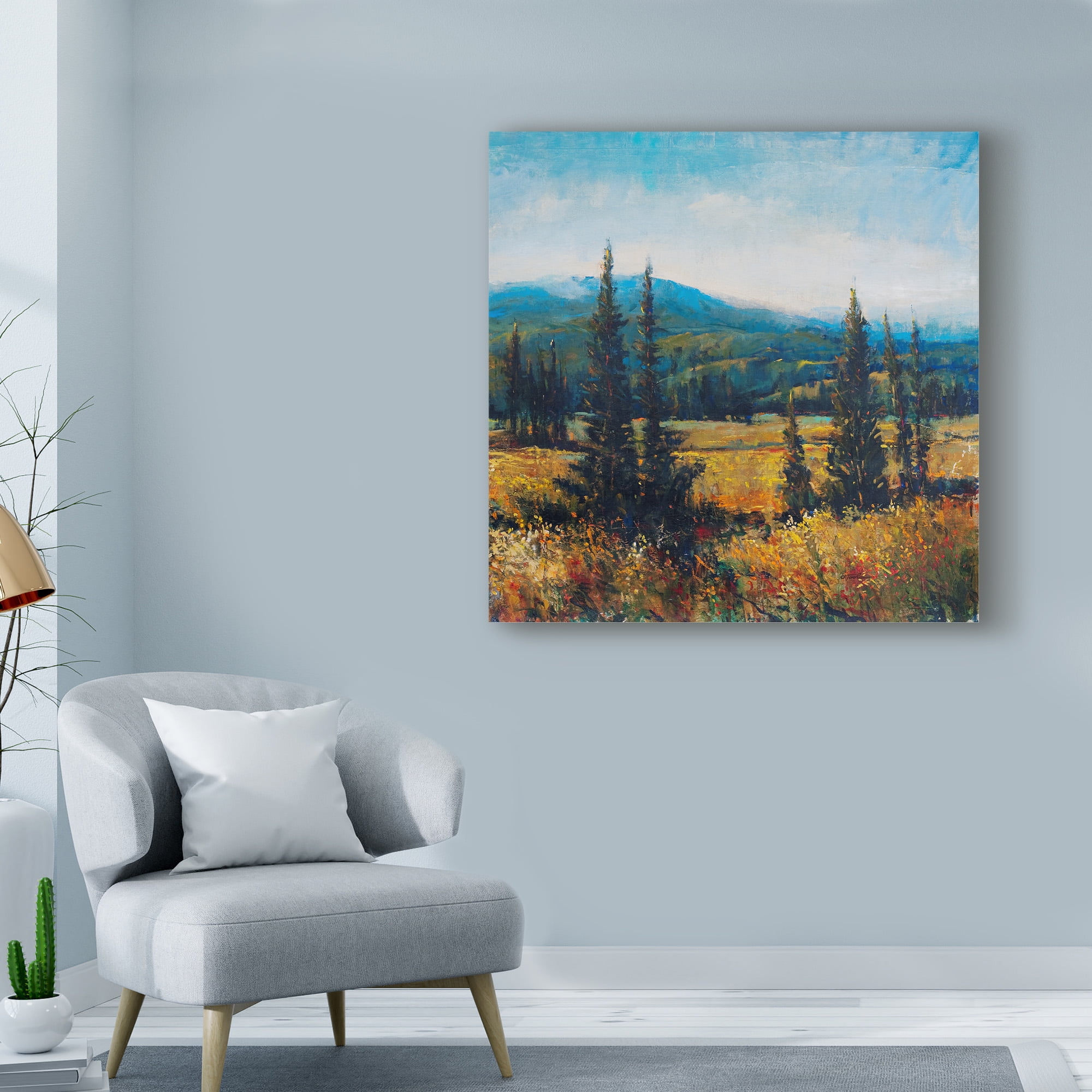 Trademark Fine Art 'Pacific Northwest II' Canvas Art by Tim OToole