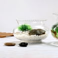 thumbnail image 3 of MasteelfCA 2 Pcs Bol à Poisson Transparent Bol à Poisson Rouge en Verre Bol à Poisson Simple Bol de Plante Hydroponique, 3 of 8