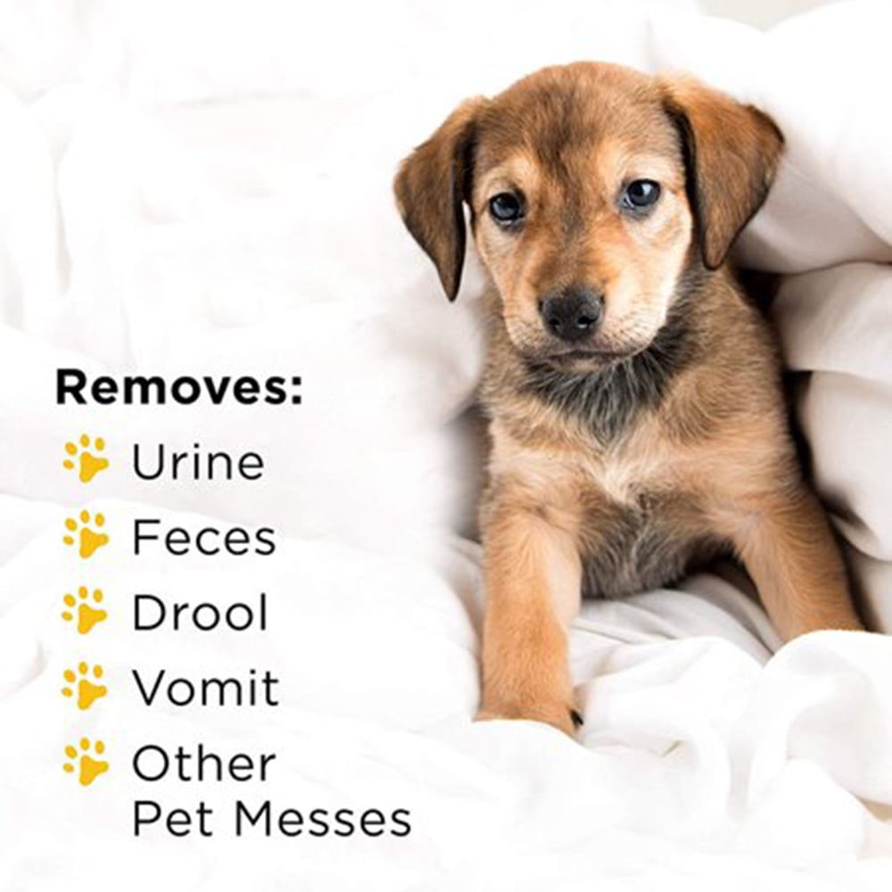 Dog wipes for urine hotsell