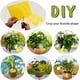 thumbnail image 2 of 20 pcs Yellow Double Sided Fly Trap, Double Sided Yellow Traps for Flying Insects - Greenhouse And Outside, Aphids, Fungus Gnats, Mosquitoes, Aphids, 2 of 4