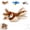 #A, variant on Interactive Chirping Bird Cat Toys with Flapping Wings, No Flying Birds Cats Toy, Simulation Electric Sparrow Shaking Bird Hunting Cat Toy for Indoor Cats (#C)