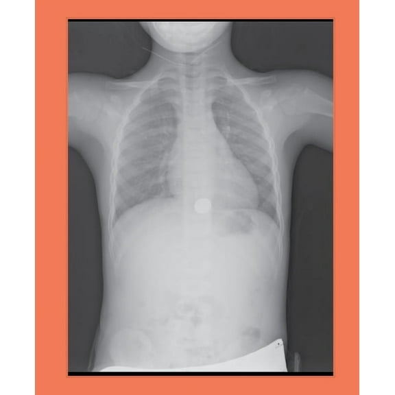 Jill Magid: Tender, (Hardcover)