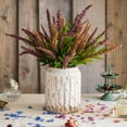 thumbnail image 3 of Buddleja Butterfly Bush Bundle 18" Tall, 3 of 12
