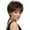 Brown, variant on Short Pixie Cut Wig with Bangs for Women, Dark Brown Human Hair Blend Synthetic Wig, Natural Looking Hair Replacement Wigs(Black,28x18x5cm)