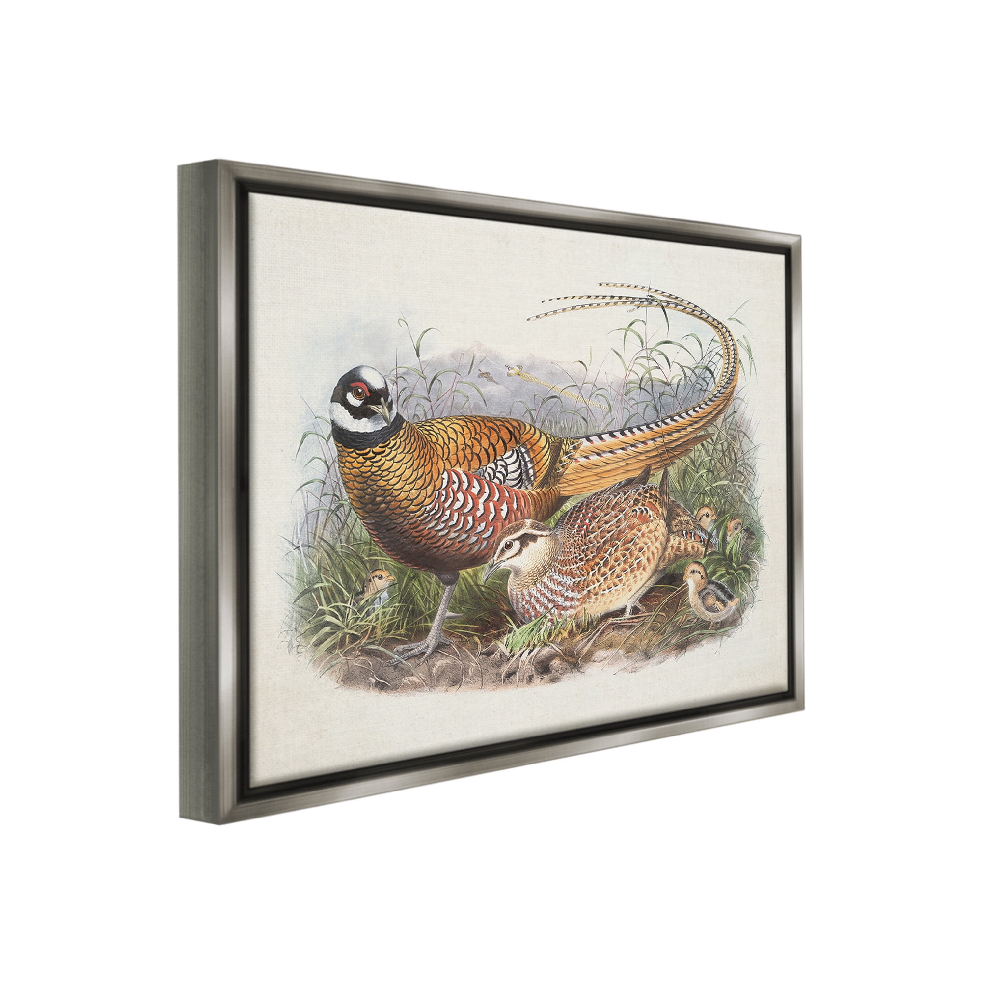 Stupell Industries Pheasant Family in Nature Animals & Insects Painting Gray Floater Framed Canvas Art Print Wall Art, 31 x 25