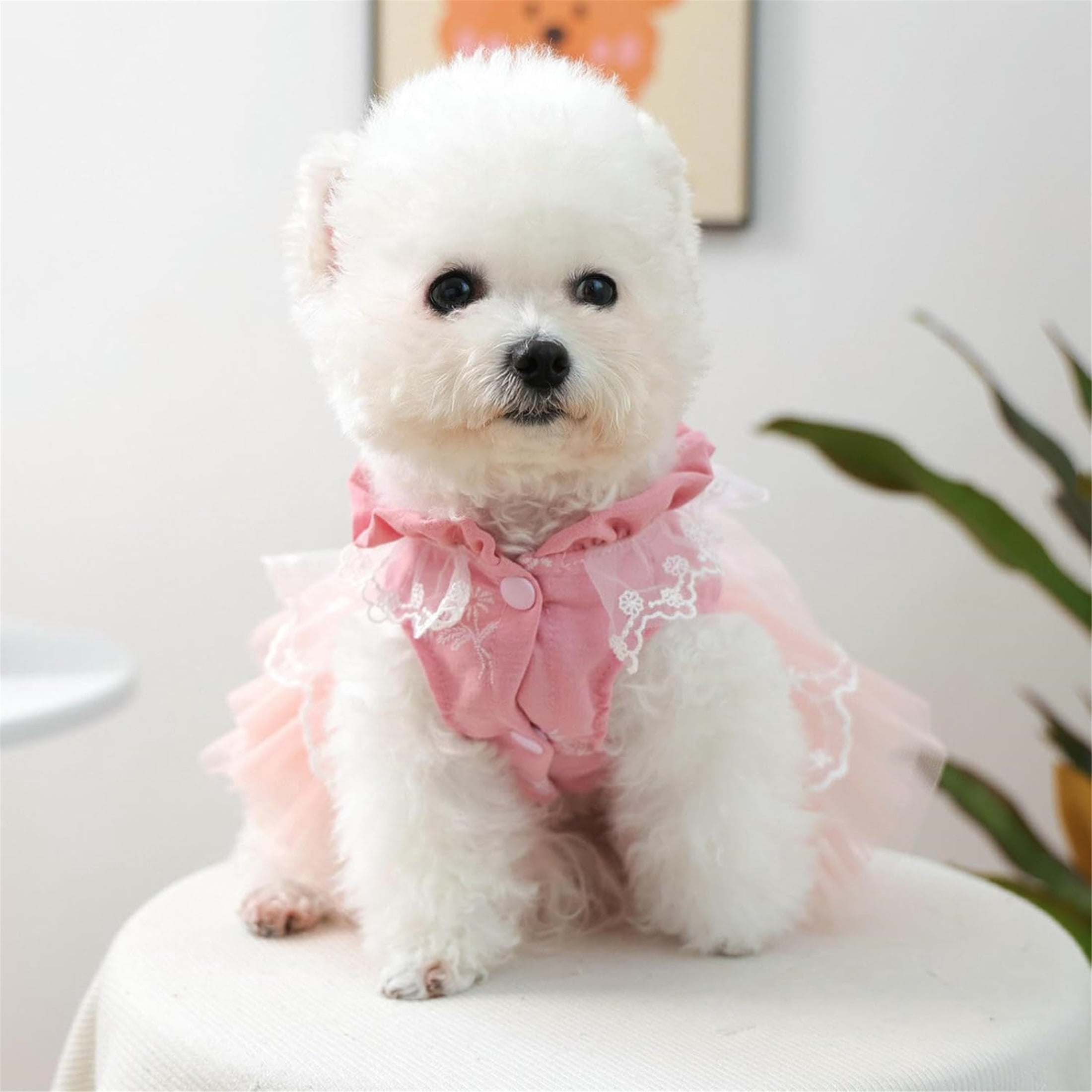 HQREA Dog Princess Dress for Small Dogs Girl Spring Summer Puppy Clothes Pink Tutu Skirt Outfit  for Wedding Birthday